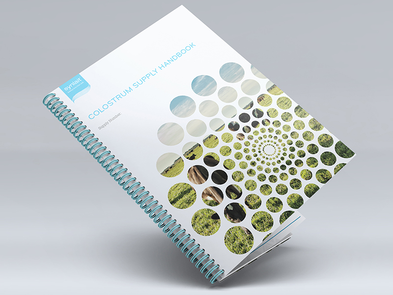 DMG Auckland SEO specialist