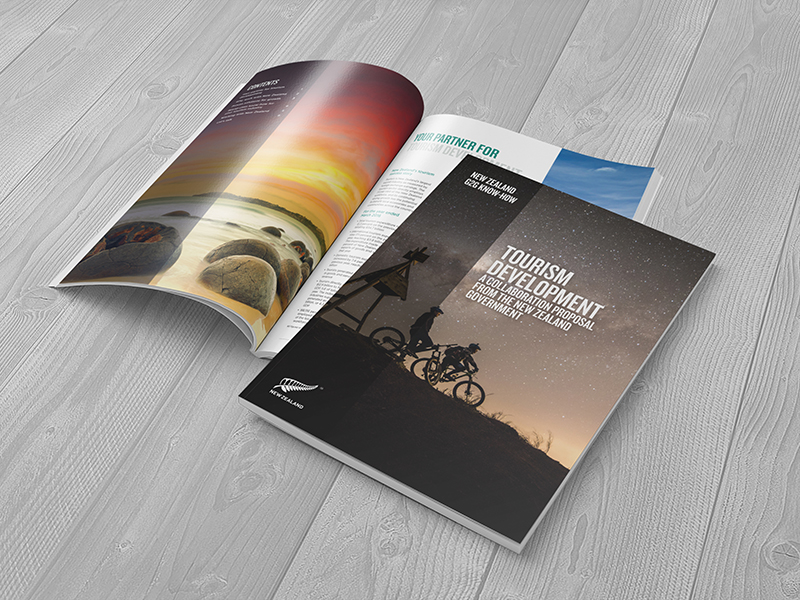 DMG Auckland Anual Report Designer